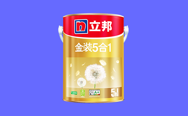 立邦金裝凈味5合1.jpg