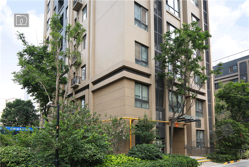 高層質感漆近景效果圖.png