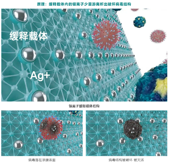 ClearShield銀離子緩釋抗病毒技術(shù)作用原理.png